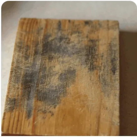 Old timber chopping board with dark mould-like stains