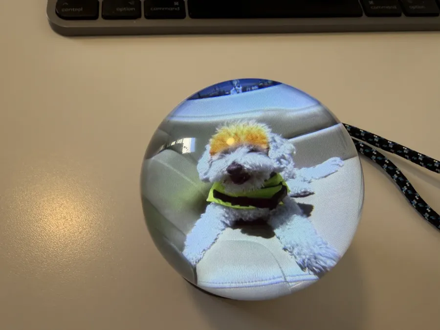 Memory Orb showing a photo of a dog