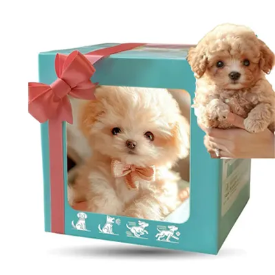 La scatola regalo del Cucciolo Amico